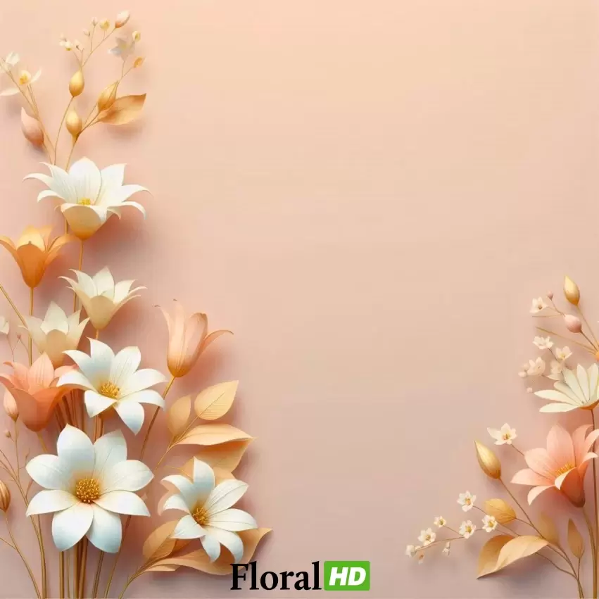 Minimalist Floral Border With White And Peach Flower PNG Transparent Background